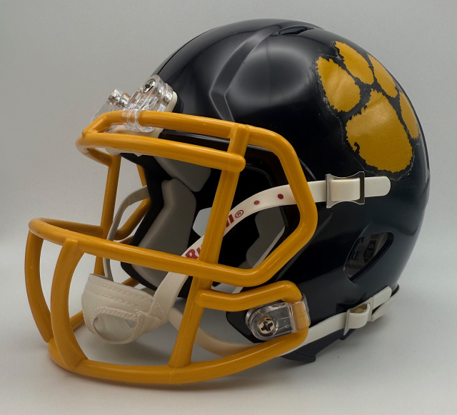 Springfield Wildcats HS 2013 (OH)